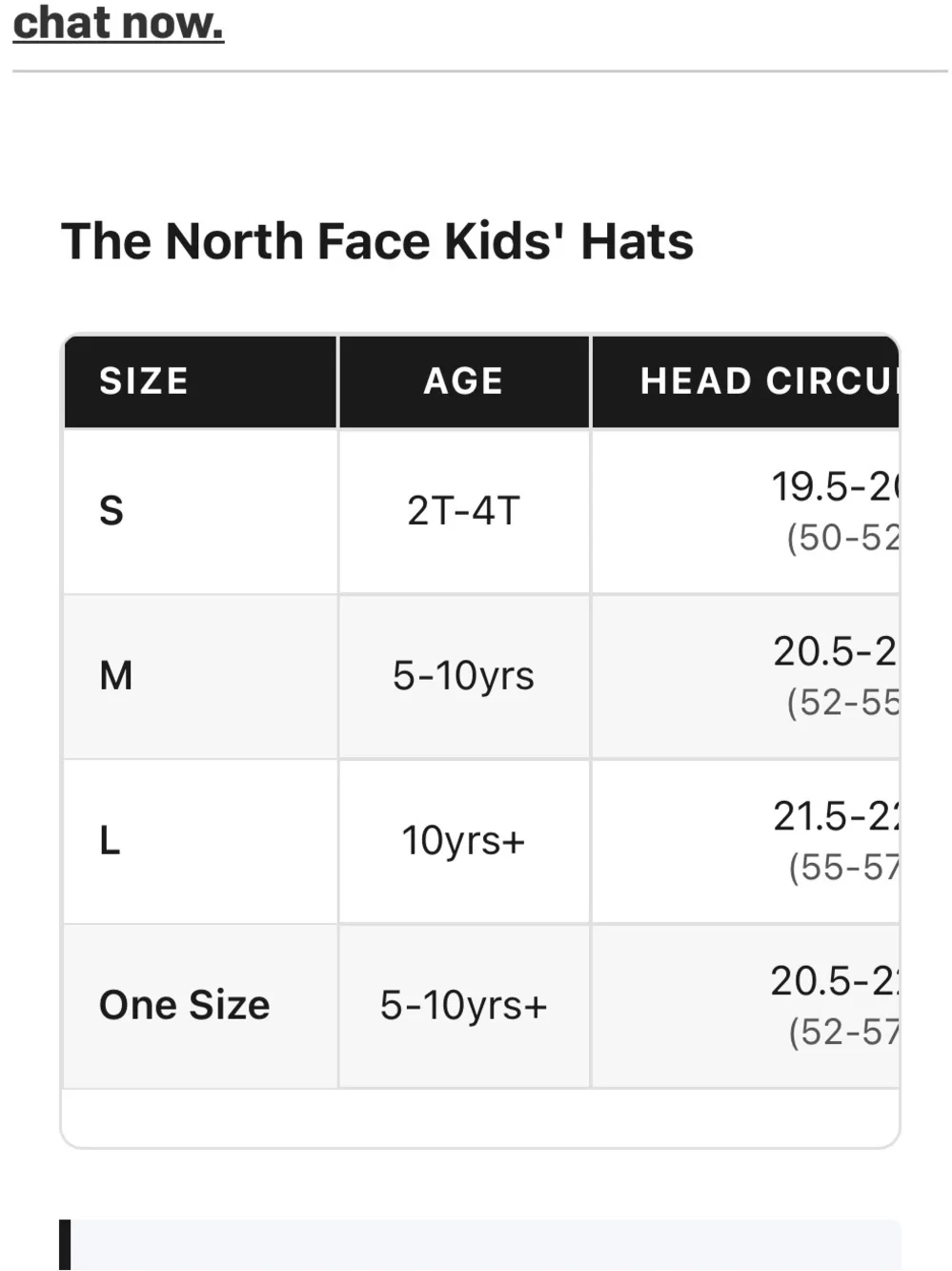 The North Face north face